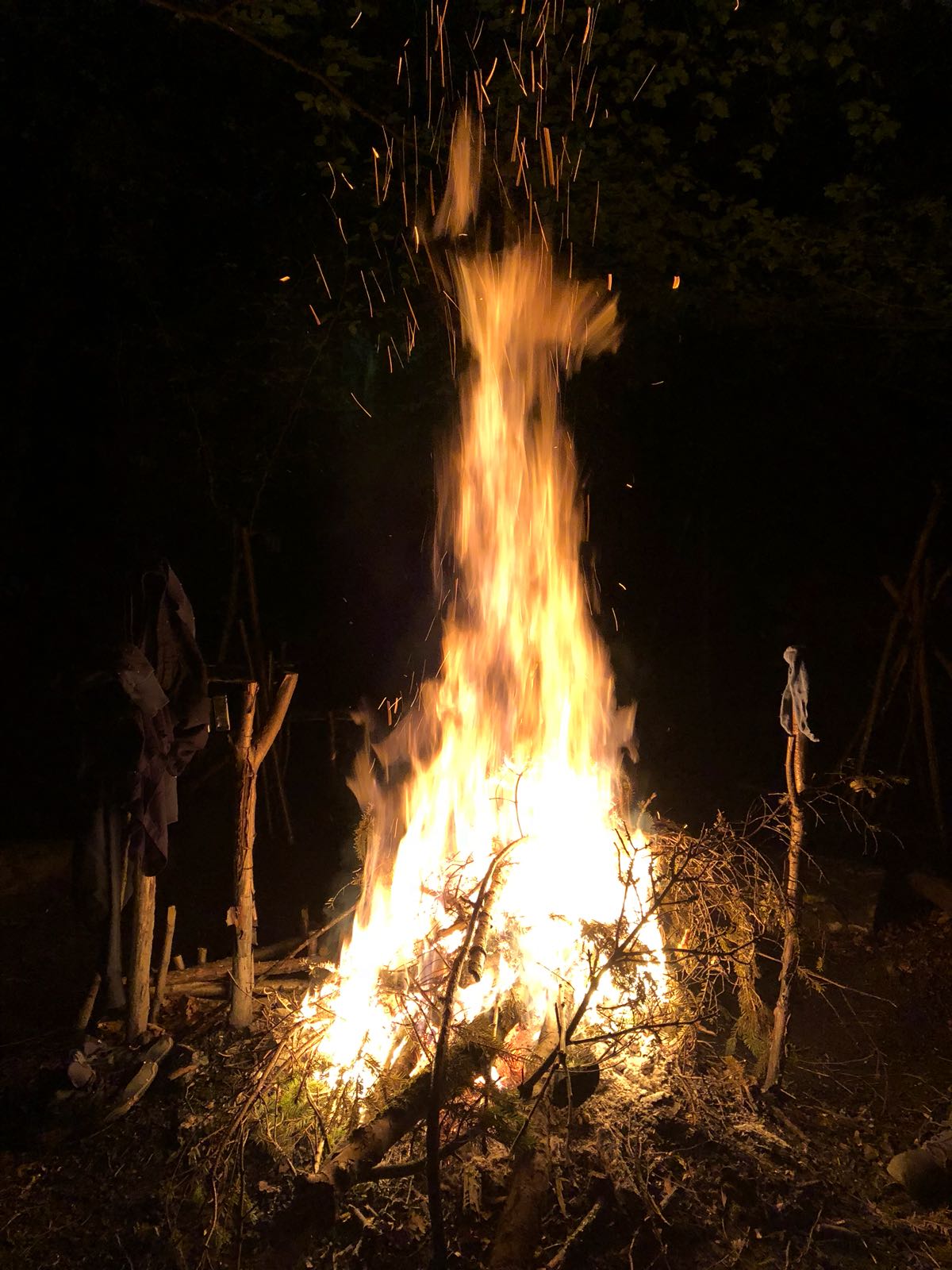 survival